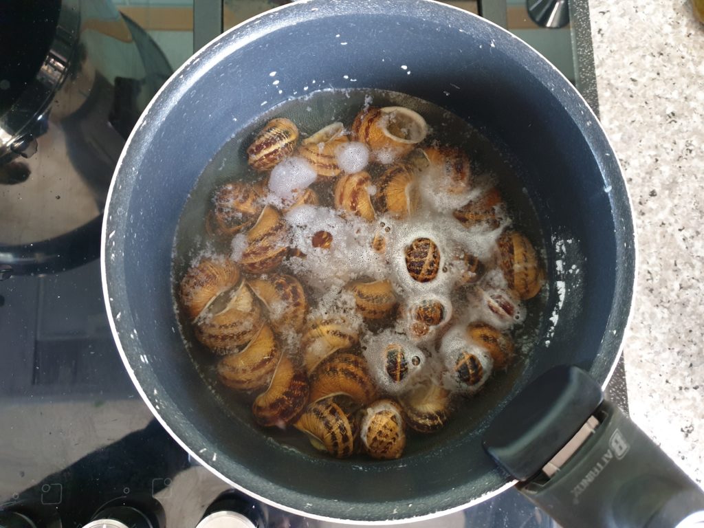 escargots crétois