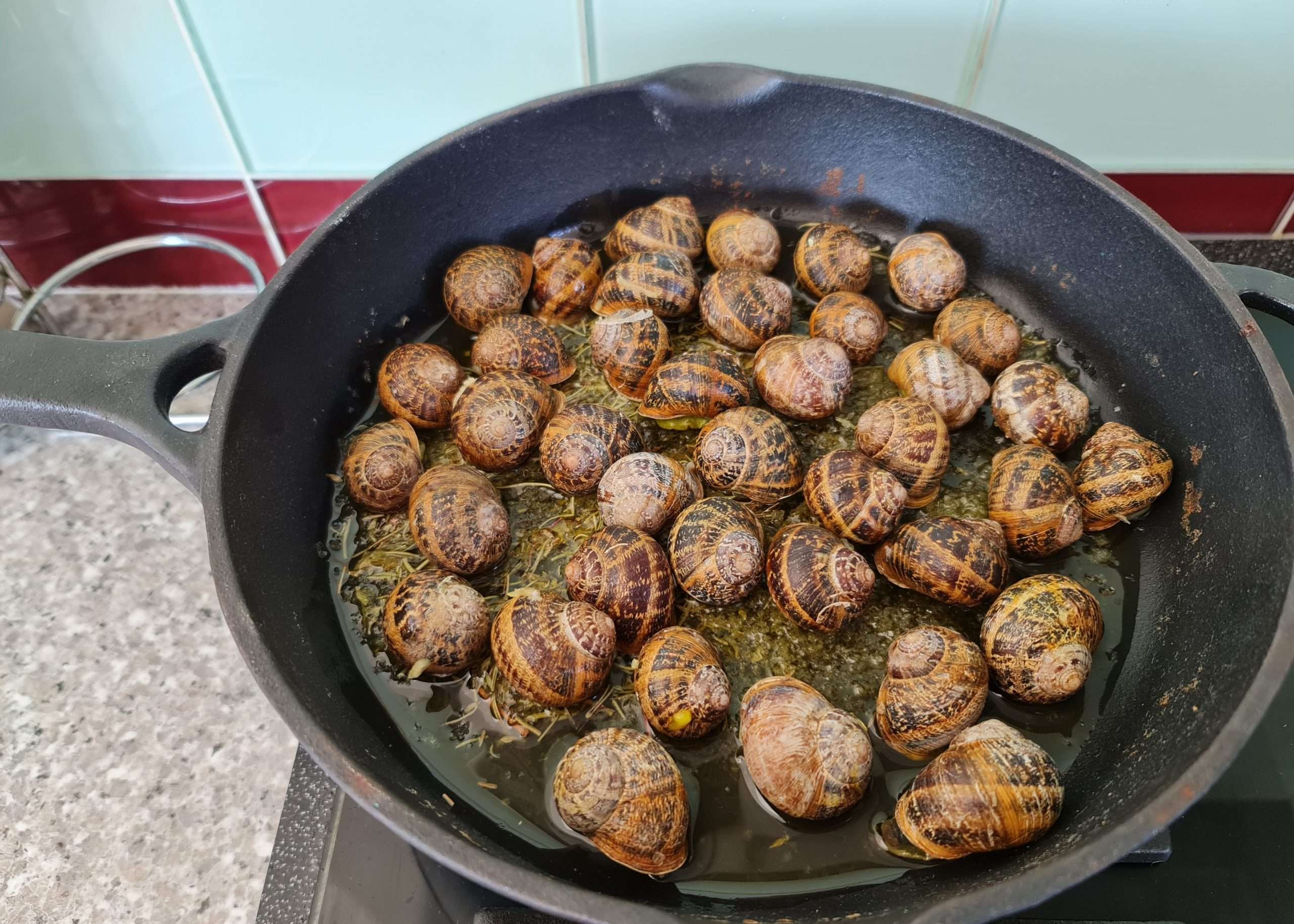 escargots de crete frits