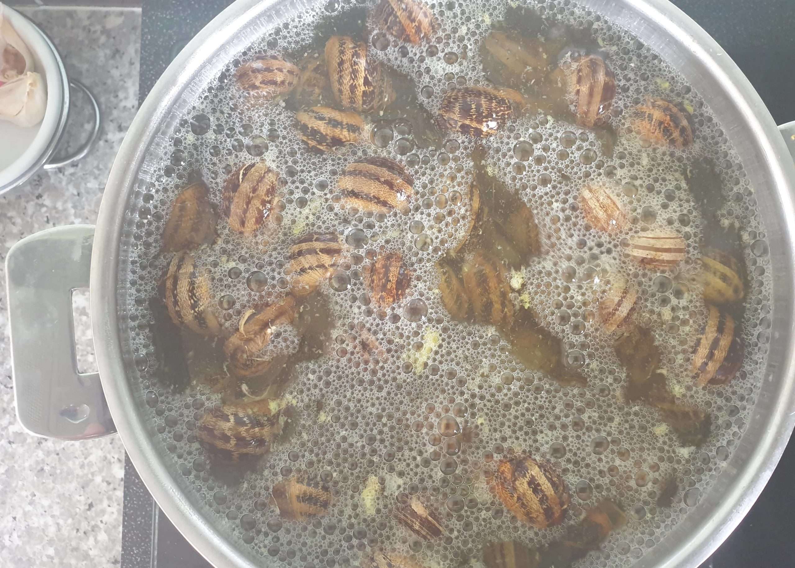 cuisson des escargots dans une casserole