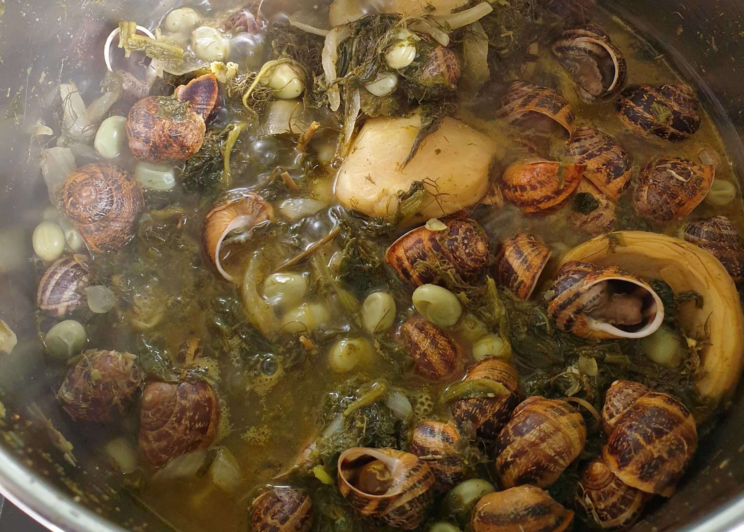 cuisson des escargots aux artichauts dans une grosse casserole