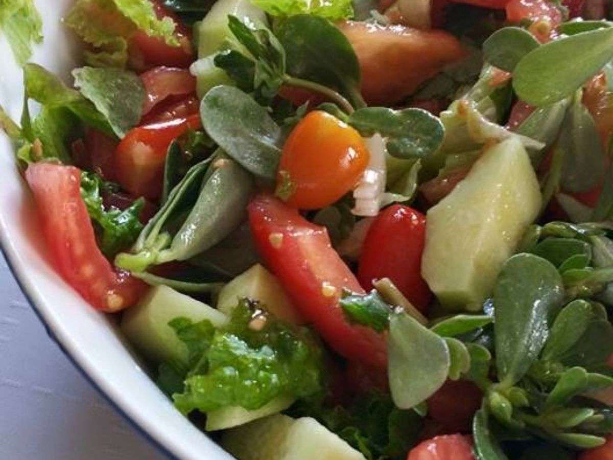 Salade crétoise au pourpier glistrida, tomates et concombre, la variante crétoise de la salade grecque