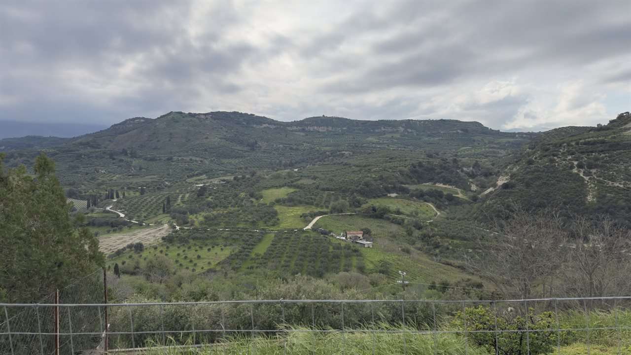 Vallée d'oliviers et collines verdoyantes de Crète, vaste panorama