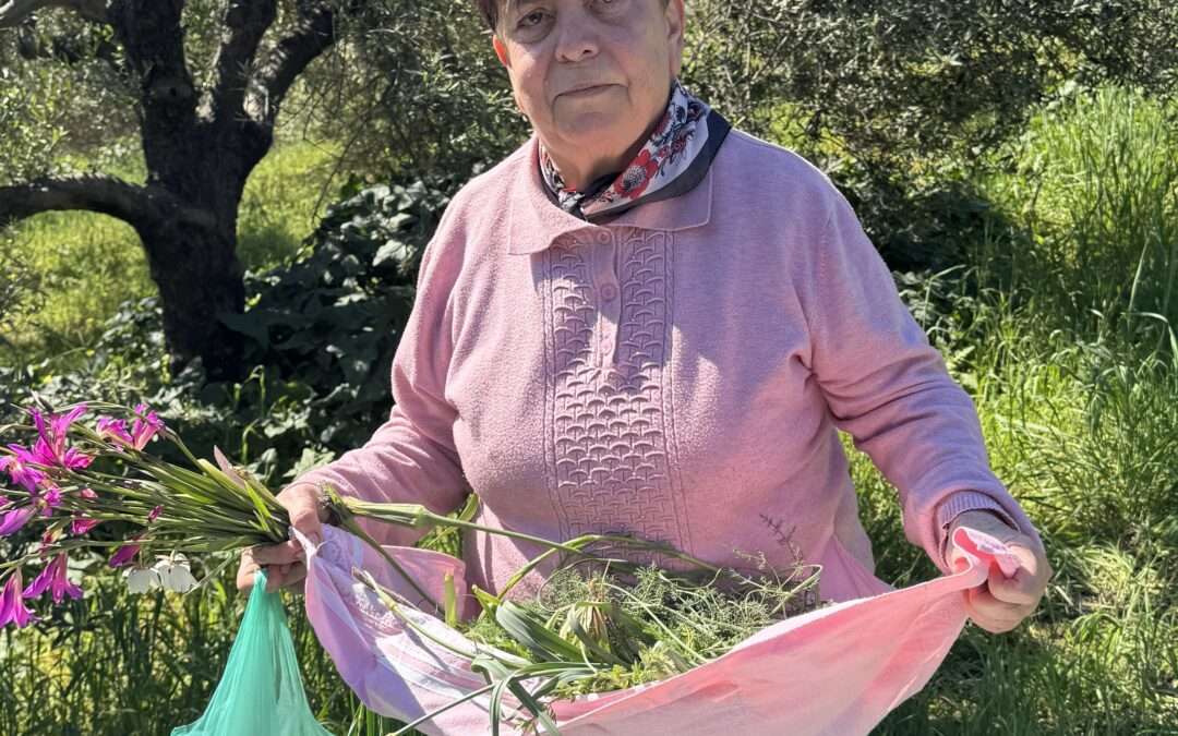 Les herbes sauvages de Crète : tout ce que j&rsquo;ai appris cet été pour mon livre