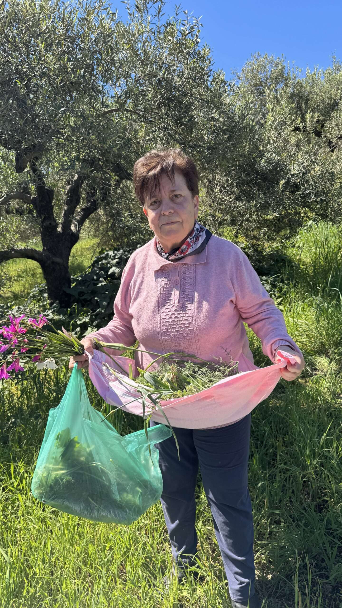 Cueilleuse de horta dans une oliveraie de Crète, le tablier rempli de fenouil sauvage, glaïeuls et sac vert à la main
