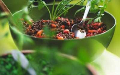 La Richesse Crétoise 1 Salade méditerranéenne aux lentilles (salata me fakes)
