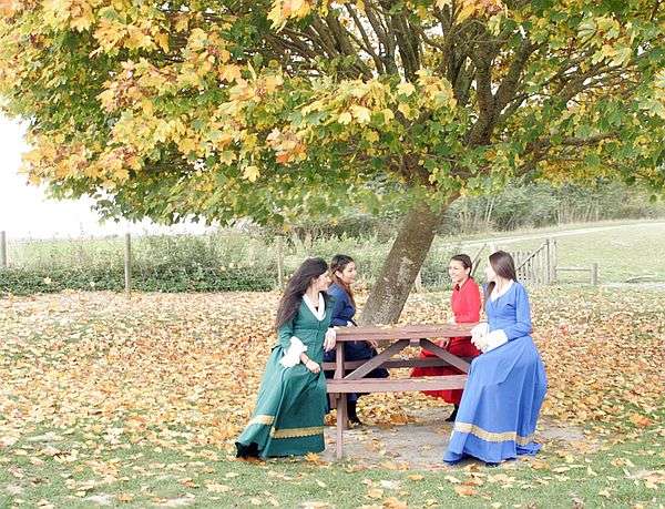 Dix ans de ponts entre la Normandie et la Crète 7 Les danseurs crétois en costume sous un arbre aux feuilles d'automne, en Normandie, pour la Foire à l'andouille de Vire 2016